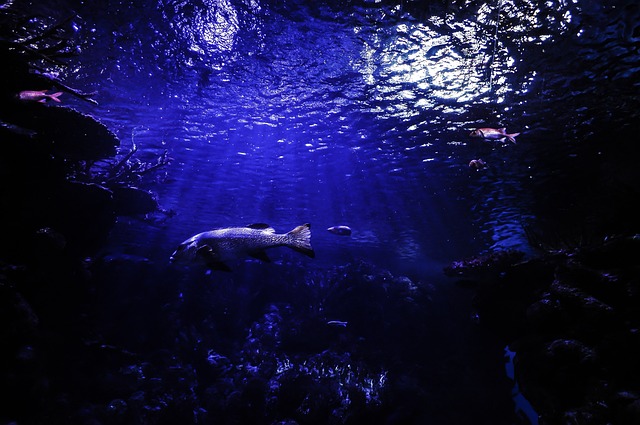 「水の記憶」の活かし方事例：「深層地下水」と「海洋深層水」