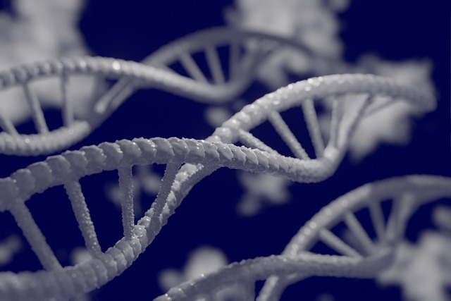 O método específico para criar novos humanos é “combinar genes diferentes”