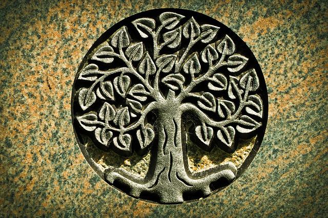 ３）自然界の恵み：地球の地底に住む人々から届けられた「生命の樹の種など」 による「体の次元上昇」