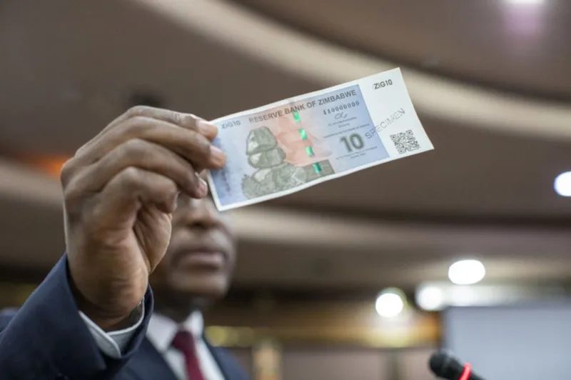 ジンバブエが新しいゴールドバック通貨「ZiG」を発表！？