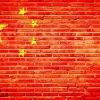 中国（BRICS）が発展途上国向けの通貨スワッププログラム開始へ