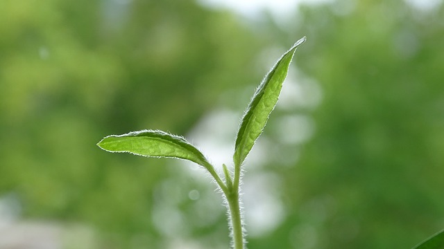 五次元世界への移行に伴う新たな感覚の芽生え！どのように対応すればよいのか！？