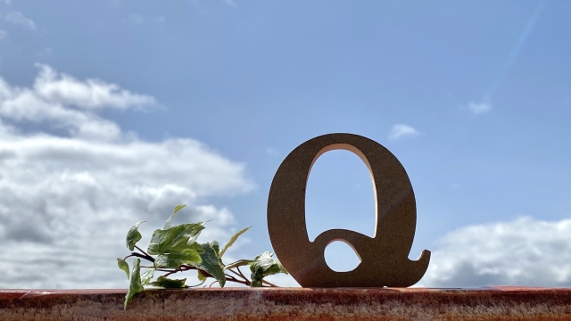 2025年5月版 !気になるQプラン関連トピックス!?