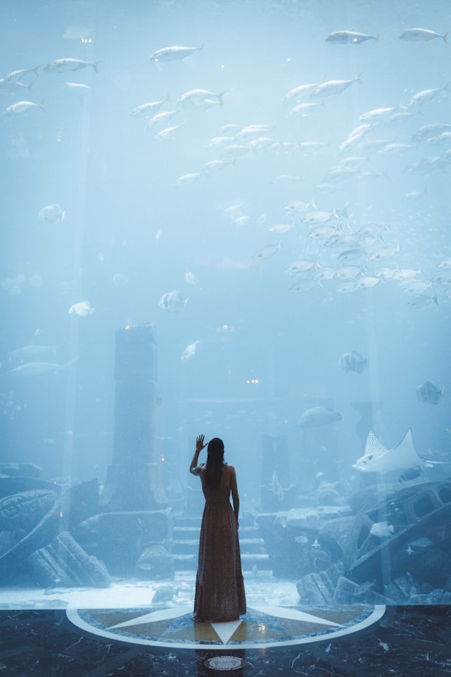 アトランティス文明が滅亡した要因かに学ぶこと!?