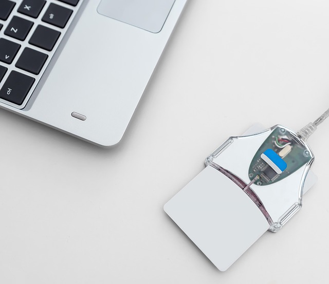 デジタルIDと選挙制度